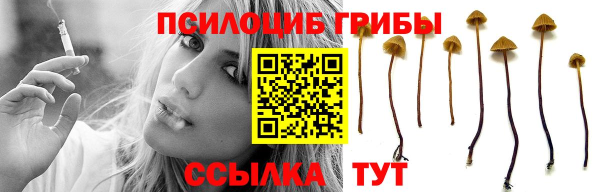 Галлюциногенные грибы мухоморы  сколько стоит  Галлюциногенные грибы ЛСД  Алатырь  Вход с VPN 